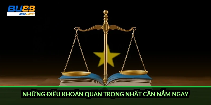 Điều khoản và điều kiện BU88: quyền lợi và nghĩa vụ cần nắm rõ 1 Những điều khoản quan trọng nhất cần nắm ngay